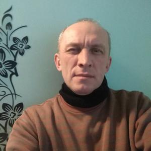 Кирилл, 44 года, Брест