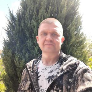 Степан, 43 года, Ярославль