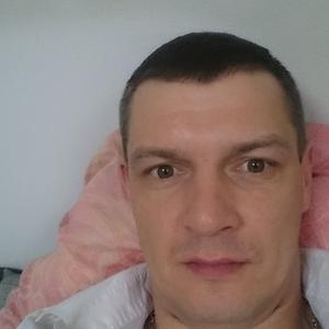 Алексей Семёнов, 44 года, Мытищи