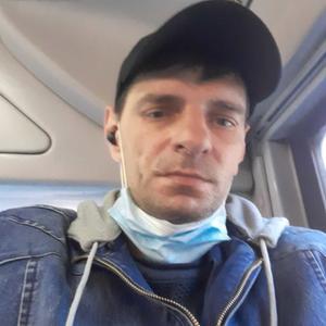 Сергей, 42 года, Шымкент