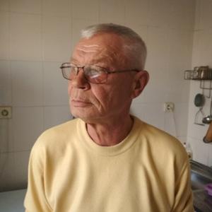 Парни в Таганроге: Александр, 64 - ищет девушку из Таганрога