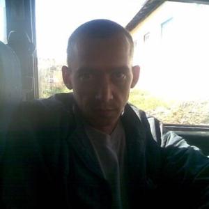 Серега, 46 лет, Кировград