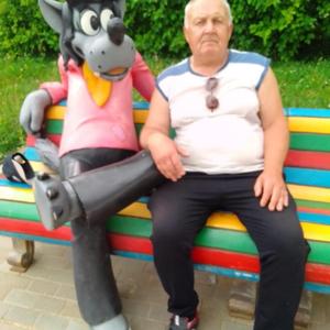 Парни в Ефремове: Владимир, 63 - ищет девушку из Ефремова