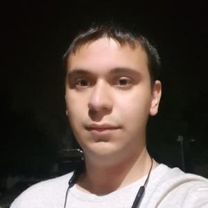 Алексей, 23 года, Таганрог