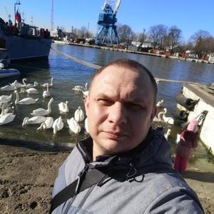 Дмитрий, 38 лет, Янтарный