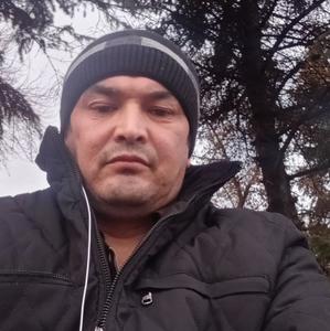 Махмуд, 39 лет, Ростов-на-Дону
