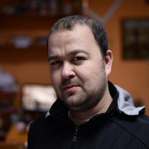 Анатолий, 33 года, Курск