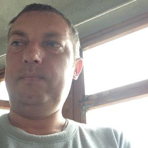 Сергей, 43 года, Ярославль