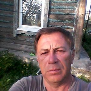 Viktor Nikitin, 63 года, Тула
