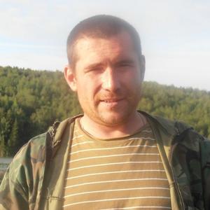 Александр Савенков, 42 года, Красноярск