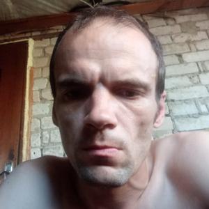 Андрей, 41 год, Белгород