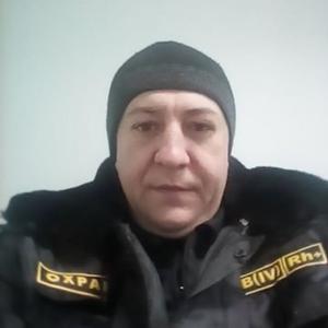Вова, 44 года, Димитровград
