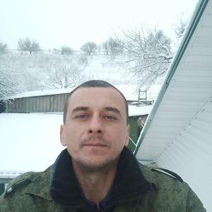 Сергей, 40 лет, Волоконовка