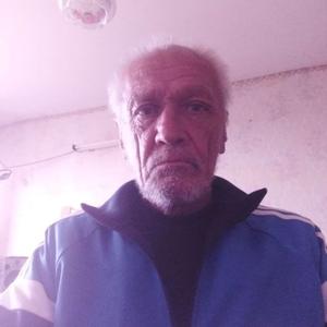Вячеслав, 66 лет, Владивосток