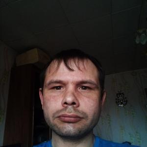 Роман, 36 лет, Вытегра