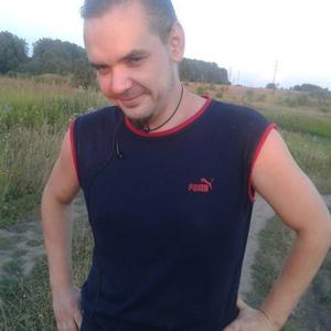 Сергей Кузенков, 38 лет, Тула