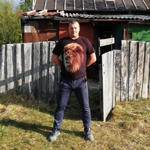 Дмитрий, 45 лет, Кировск