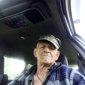 Парни в Бийске: Иван, 71 - ищет девушку из Бийска
