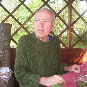Фарит, 81 год, Москва