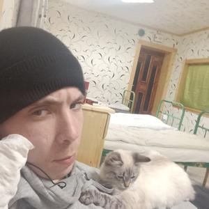 Алексей, 30 лет, Архангельск