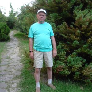 Viktor Vasilenko, 75 лет, Волгоград