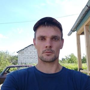 Михаил, 36 лет, Кострома