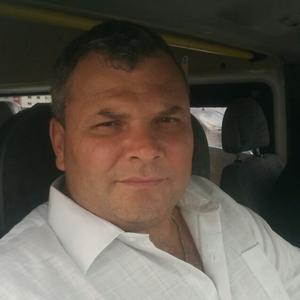 Александр, 48 лет, Димитровград