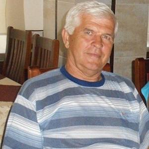 Виктор, 72 года, Ростов-на-Дону