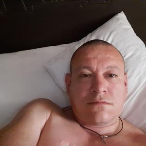 Zevs, 43 года, Сочи