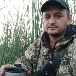 Сергей, 36 лет, Железногорск