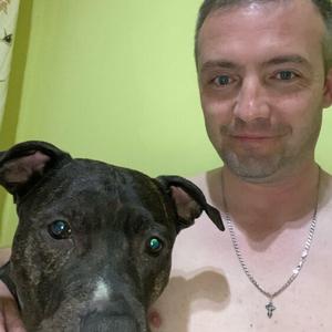 Парни в Сестрорецке: Дмитрий, 37 - ищет девушку из Сестрорецка