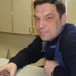 Алексей Репин, 56 лет, Дмитров