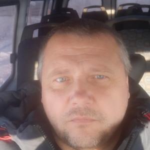 Алексей, 48 лет, Приютово