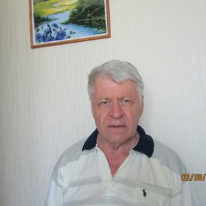 Михаил Иванов, 81 год, Москва