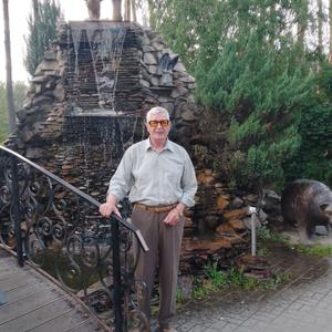 Анатолий, 79 лет, Воронеж