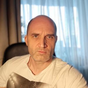 Дмитрий Аверкиев, 42 года, Лысьва