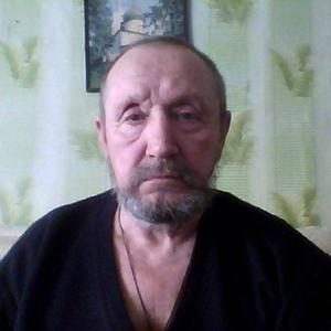 Владимир, 73 года, Чапаевск