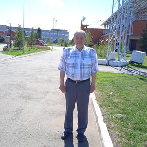 Николай, 65 лет, Краснозаводск