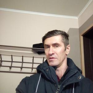 Евгений, 53 года, Каменногорск