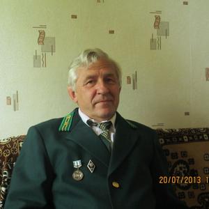 Александр, 73 года, Воронеж