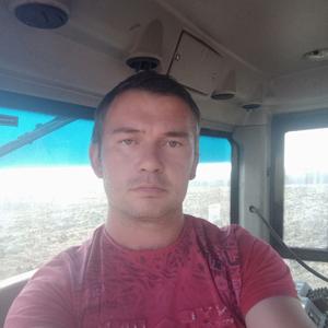 Алексей, 42 года, Лысые Горы