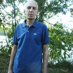 Александр Сочилин, 62 года, Нижний Новгород