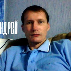 Андрей, 46 лет, Новочебоксарск
