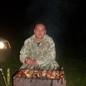 Серёга, 41 год, Ульяновск