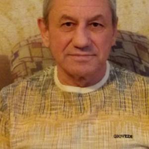 Сергей, 66 лет, Нижний Тагил