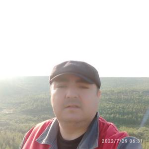 Бек, 42 года, Красноярск
