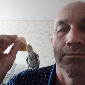 Сергей, 52 года, Набережные Челны