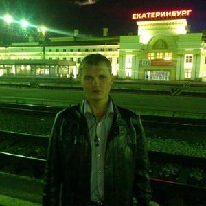 Андрей Алексеев, 42 года, Йошкар-Ола