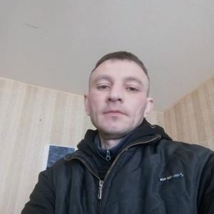 Алексей, 43 года, Батецкий