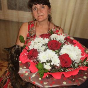 Галина Шахова, 64 года, Шушенское